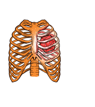 ribcage minta világoskék pólón