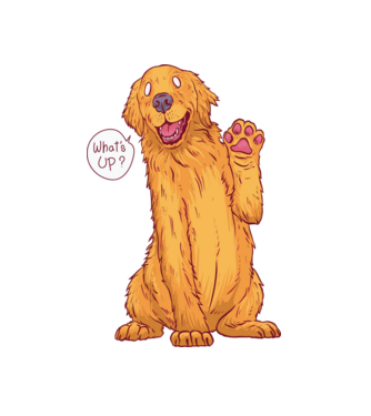 Golden retriever minta fehér pólón