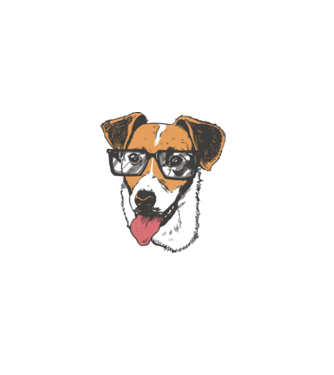 Jack Russell Terrier minta fehér pólón