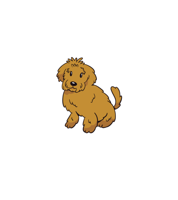 Labradoodle minta fekete pólón