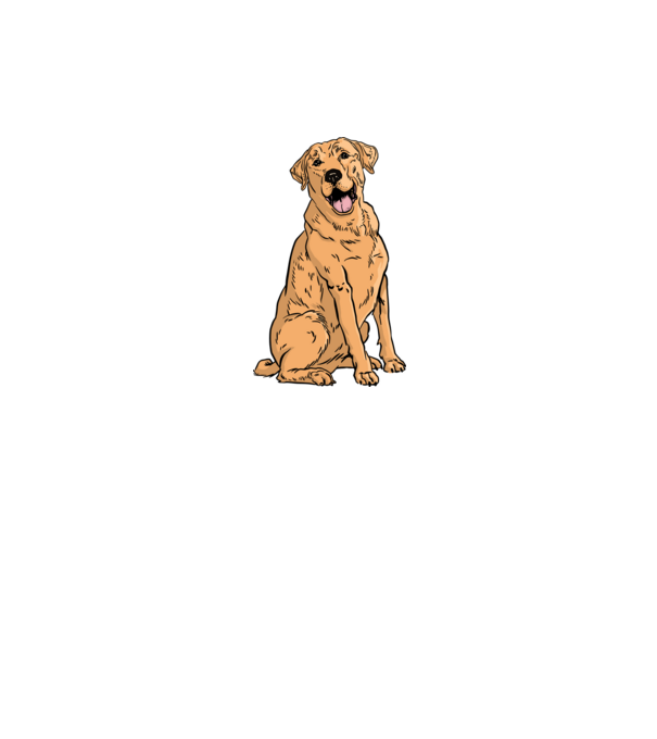 Labrador minta szürke pólón