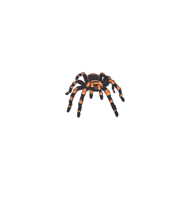 Tarantula minta szürke pólón