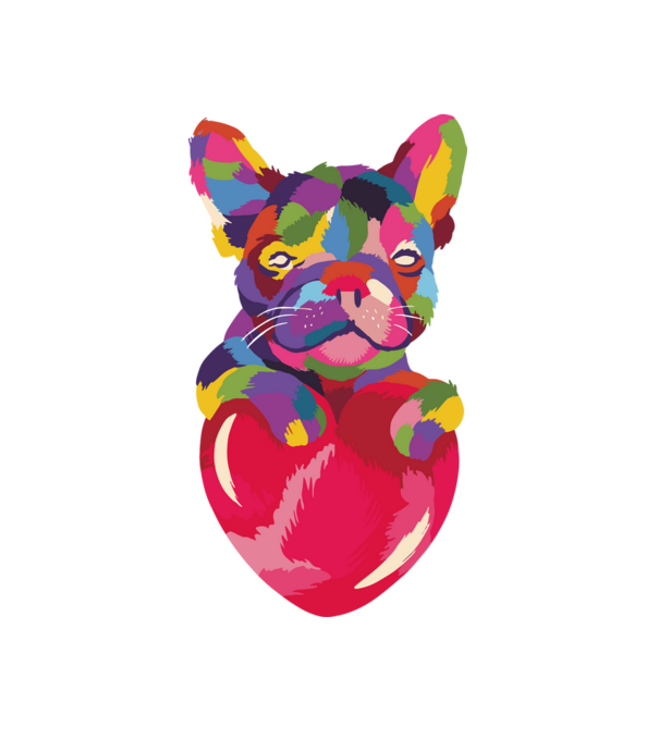 Színes Bulldog minta fehér pólón