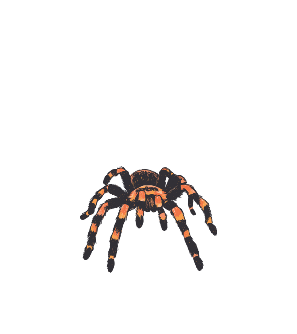 Tarantula minta homokszín pólón