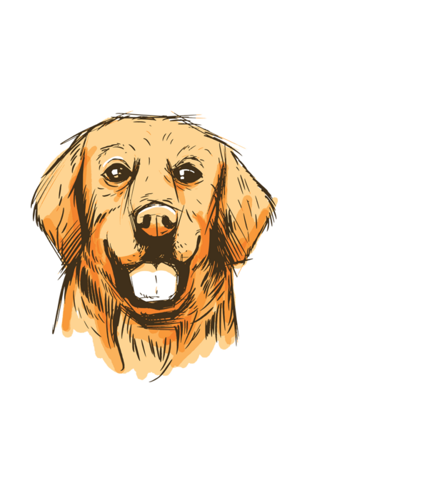 Golden retriever minta fekete pólón