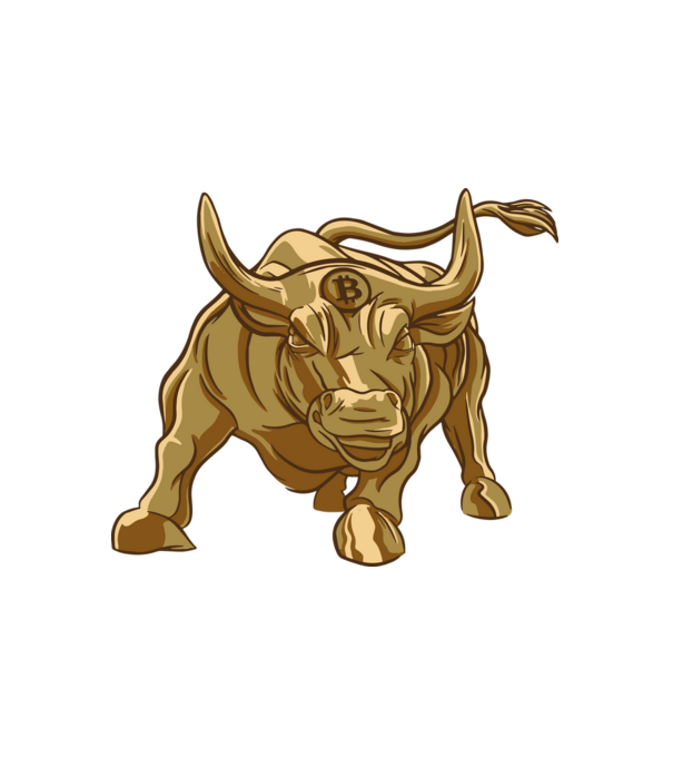 Bull minta fehér pólón