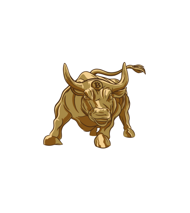 Bull minta fehér pólón