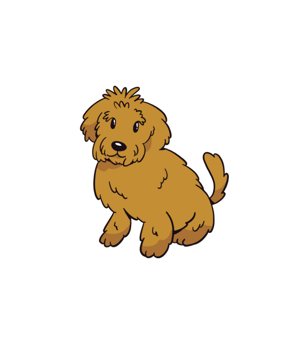 Labradoodle minta fehér pólón