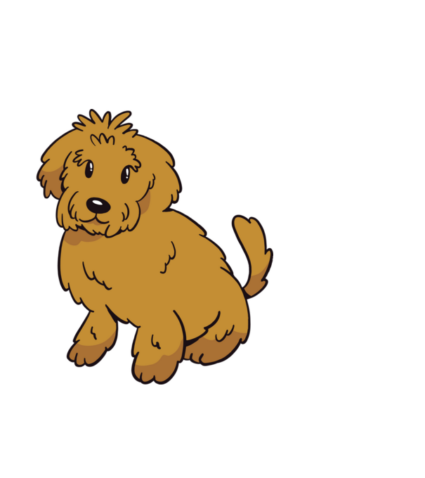 Labradoodle minta fekete pólón