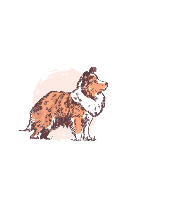 Collie kutya minta fekete pólón