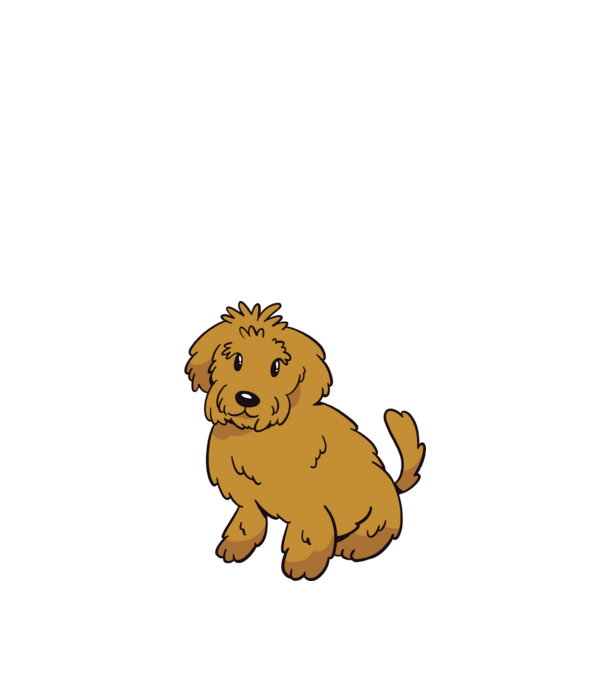 Labradoodle minta fekete pólón