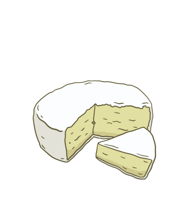 Brie sajt minta fehér pólón