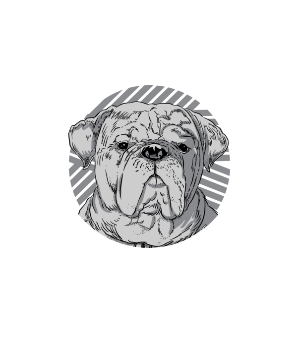 Bulldog minta fehér pólón