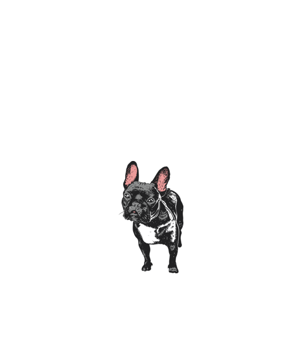 Francia bulldog minta fehér pólón