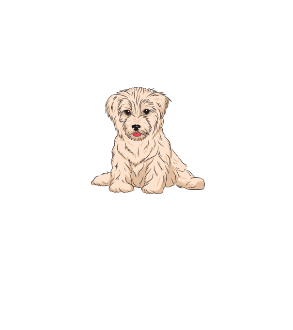 Havanese Kutya minta szürke pólón
