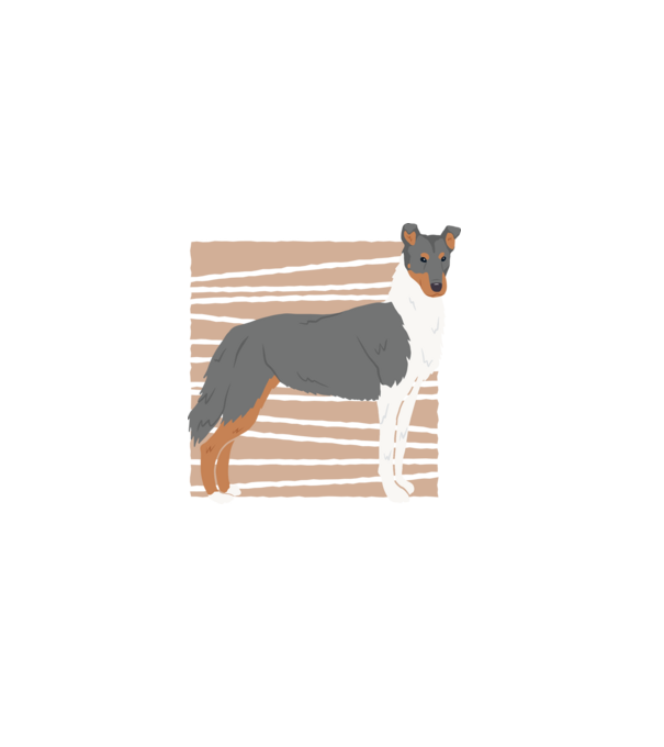 Cuki Collie minta fekete pólón