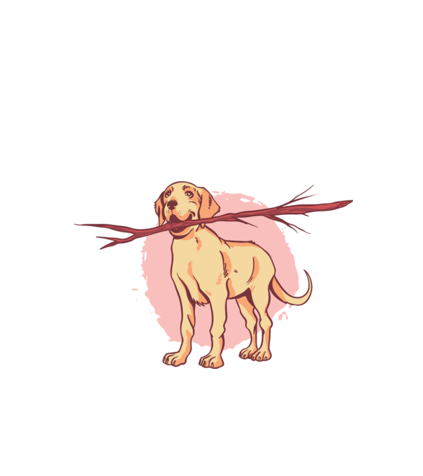 Labrador bottal minta fehér pólón