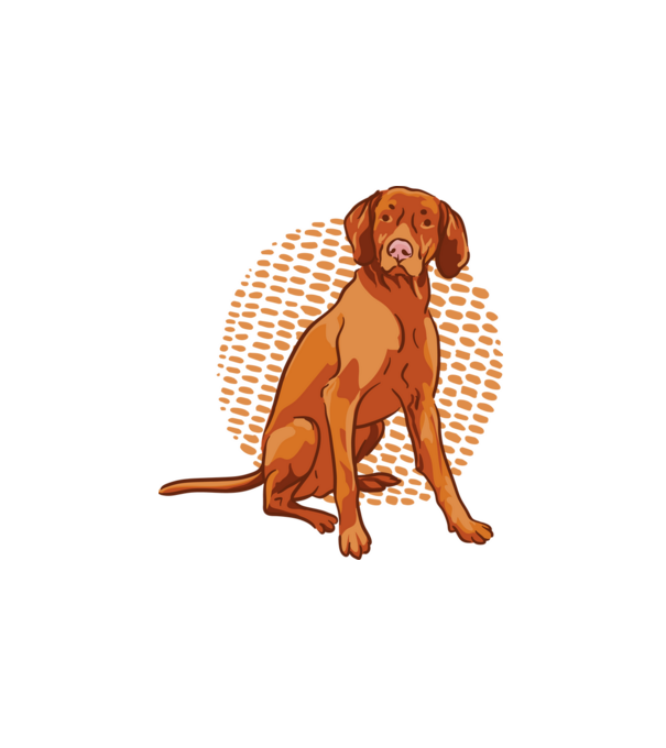 Vizsla minta fehér pólón