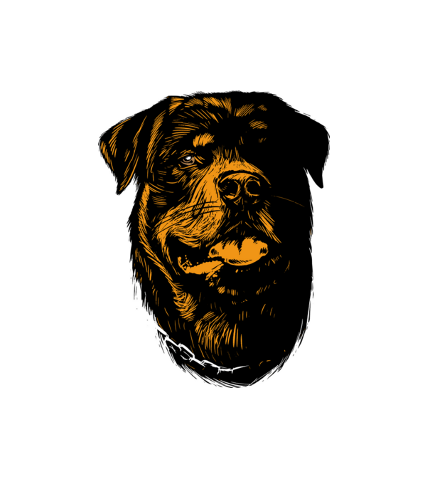 Rottweiller minta fehér pólón