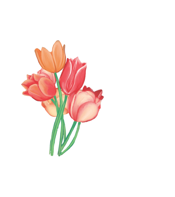 Festett tulipánok minta fehér pólón