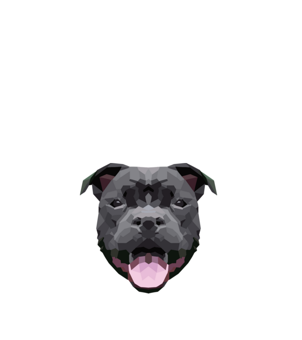 Staffordshire Bullterrier minta fehér pólón