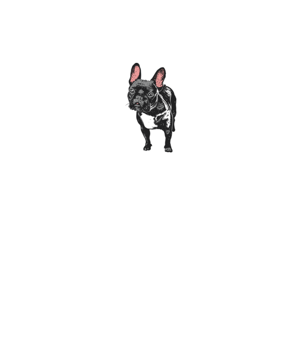 Francia bulldog minta fehér pólón