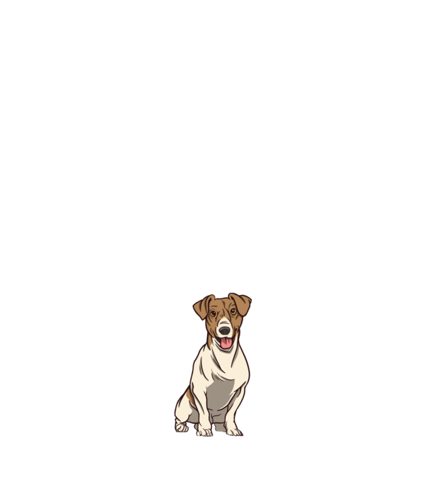 Jack Russell Terrier minta fehér pólón