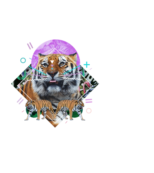 Geometrikus tigris minta fekete pólón