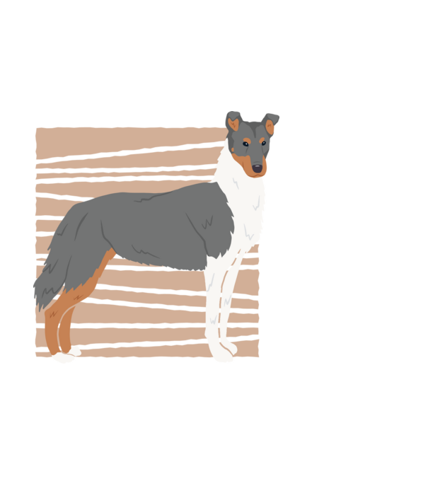 Cuki Collie minta fekete pólón
