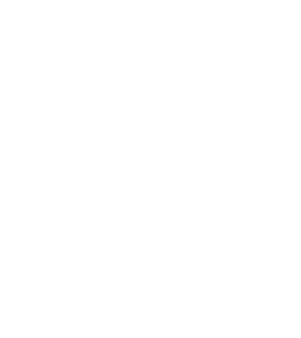 Vizsla minta fehér pólón