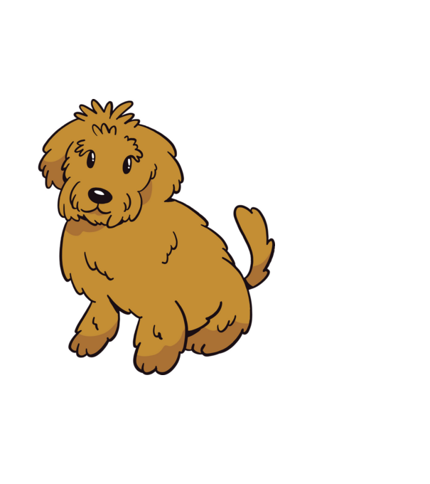 Labradoodle minta fehér pólón