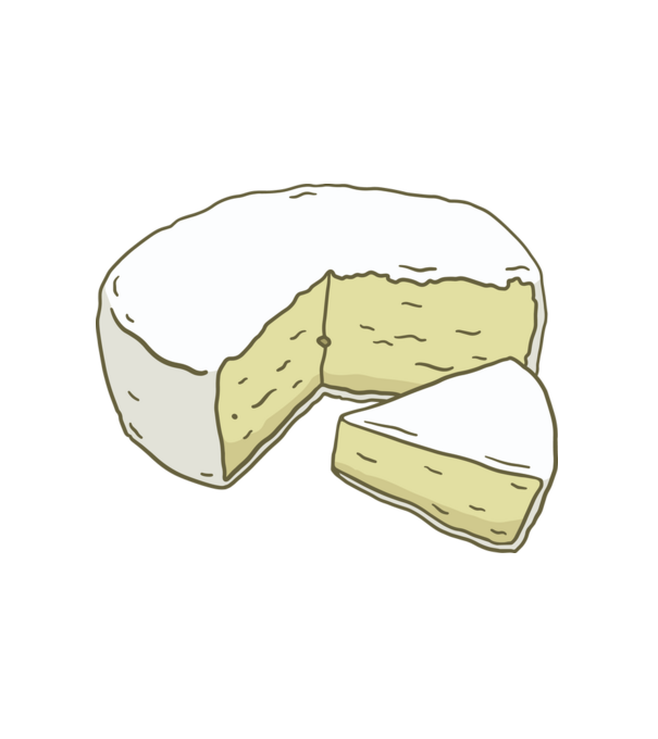 Brie sajt minta fehér pólón