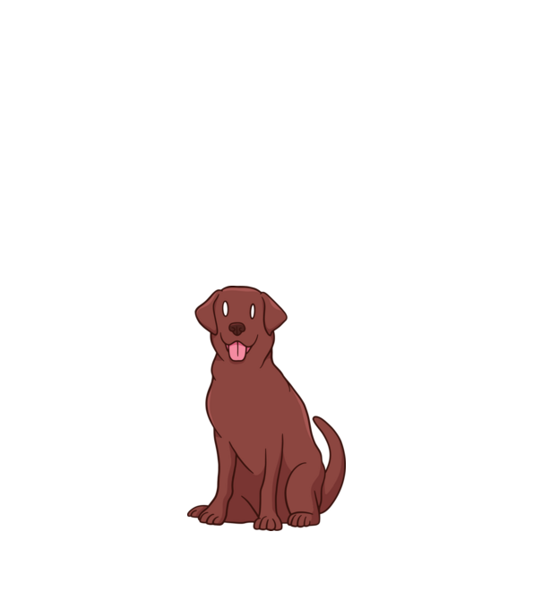 Labrador minta fehér pólón