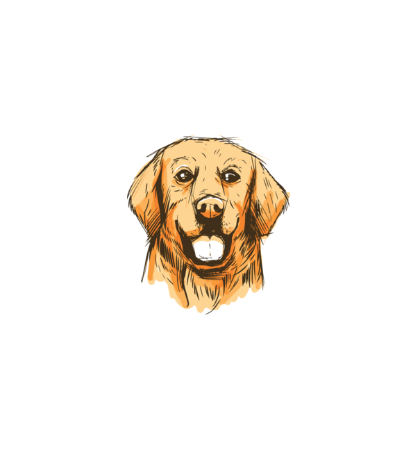 Golden retriever minta szürke pólón