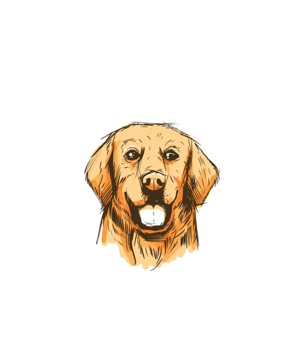 Golden retriever minta fekete pólón