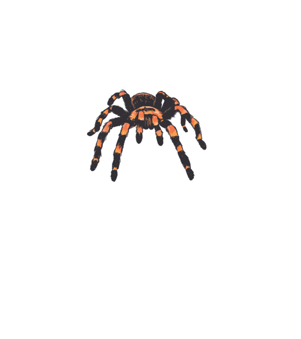 Tarantula minta szürke pólón
