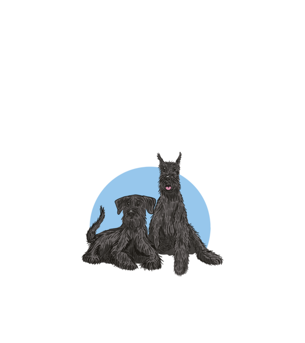 Schnauzer Kutya minta fehér pólón