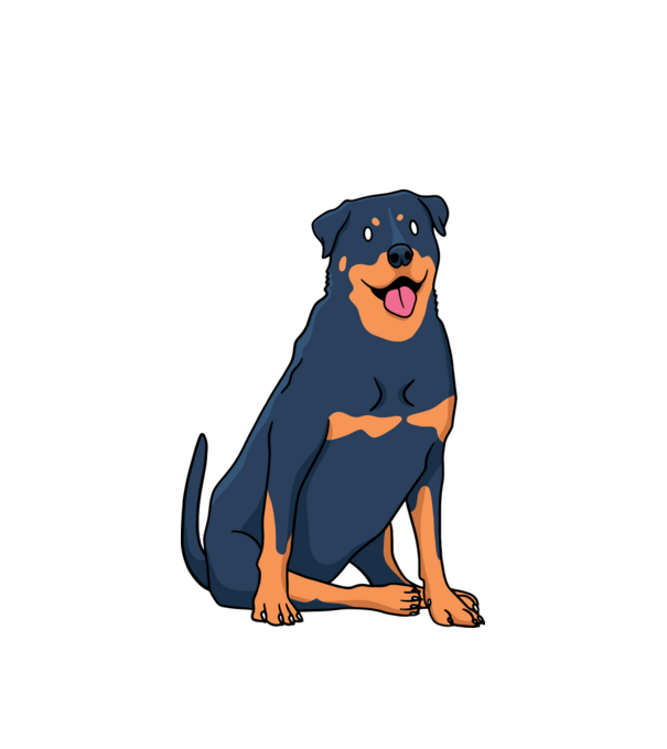 Rottweiler minta fehér pólón