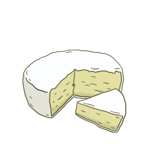 Brie sajt minta fehér pólón