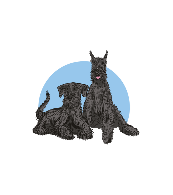 Schnauzer Kutya minta fehér pólón