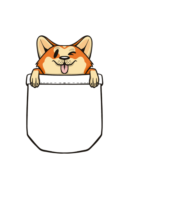 Zsebcorgi minta világoskék pólón