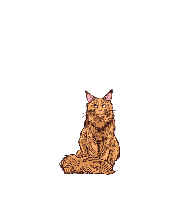 Maine Coon Cica minta sötétkék pólón