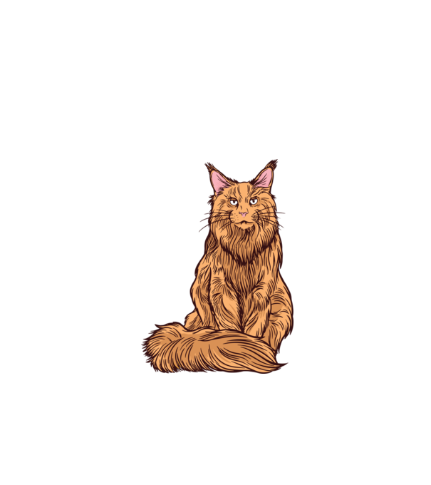 Maine Coon Cica minta fekete pólón