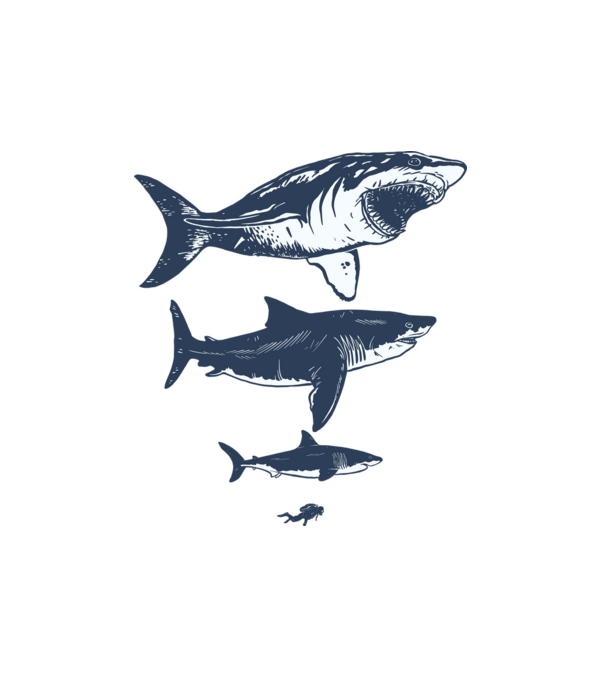 Megalodon méretei minta fehér pólón