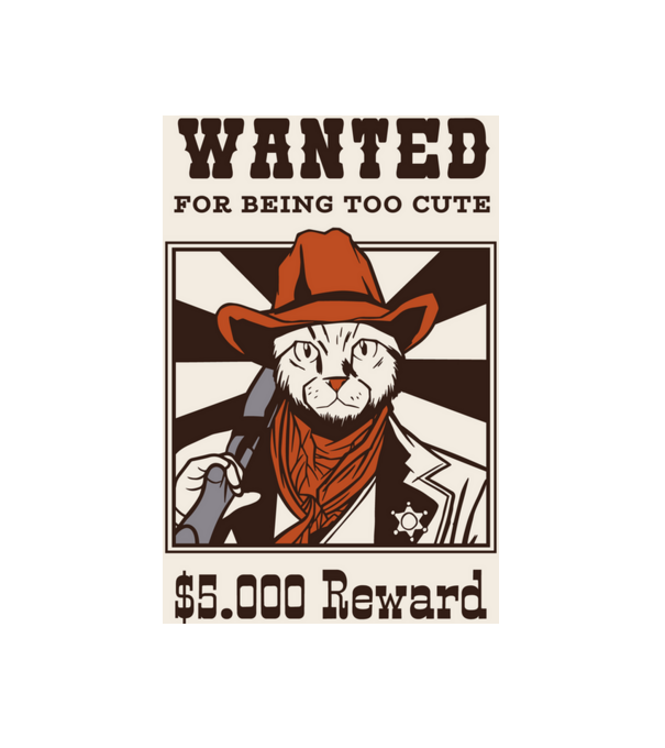 Wanted for being too cute Cicás Cowboy minta fehér pólón