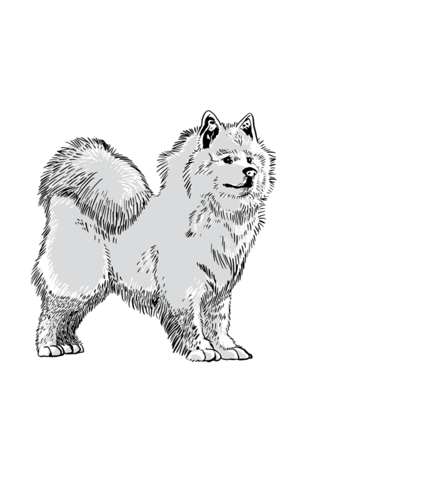 Siberian Dog minta fekete pólón