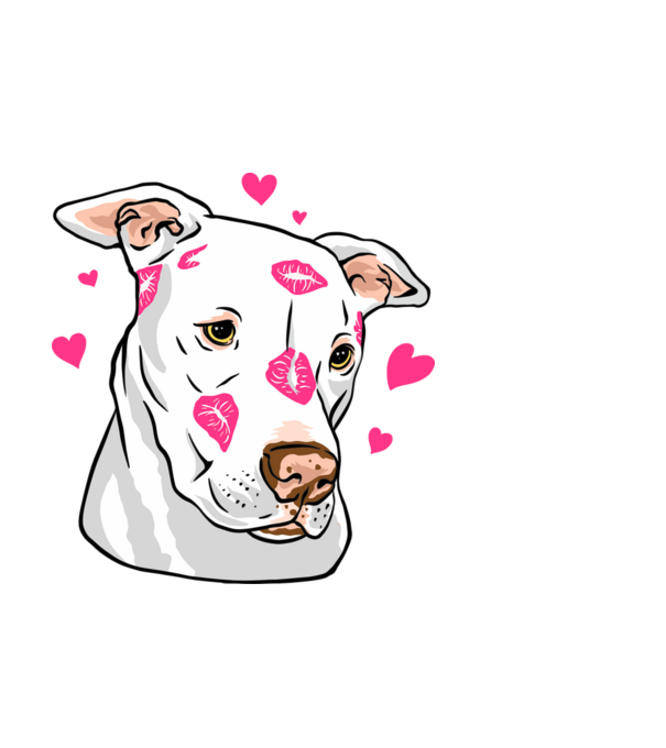 Pitbull minta világoskék pólón