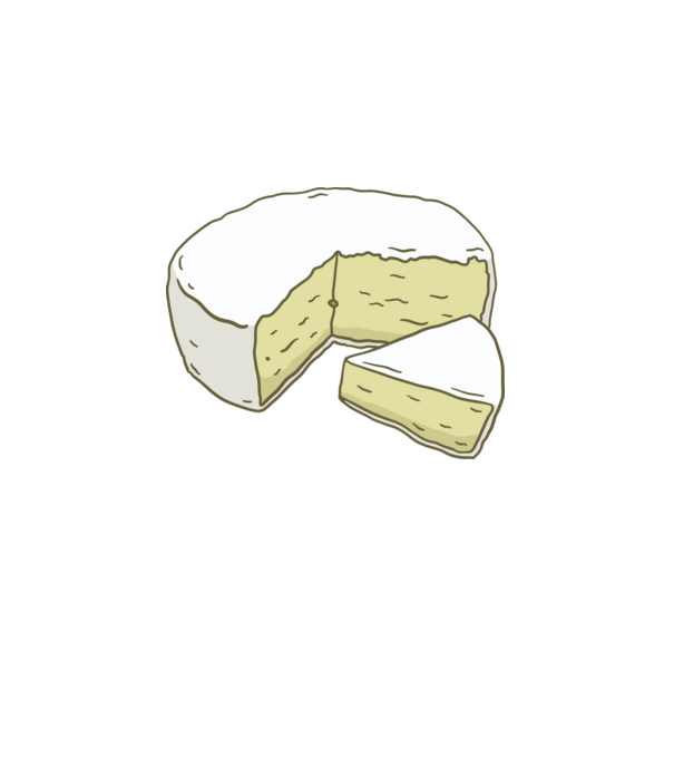 Brie sajt minta fehér pólón