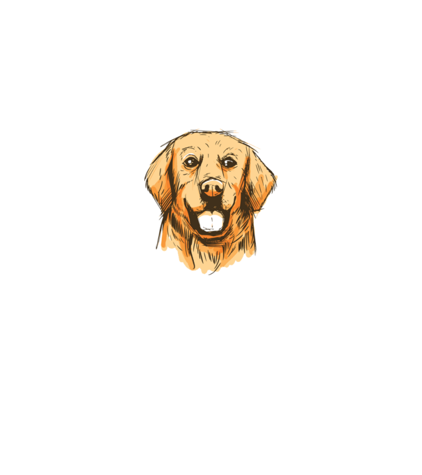 Golden retriever minta királykék pólón