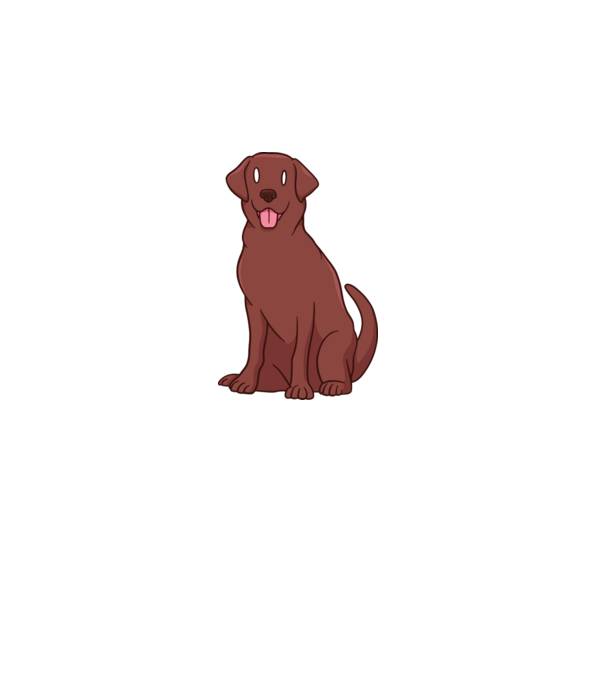 Labrador minta fehér pólón
